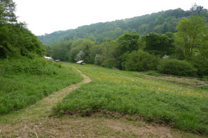 Wye Valley Caping and glamping holidays